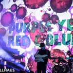 St Louis concert photos.